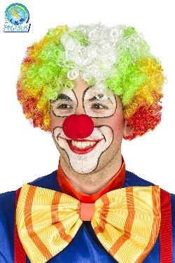 PARRUCCA CLOWN ADULTO